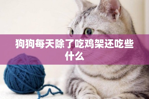 狗狗每天除了吃雞架還吃些什么