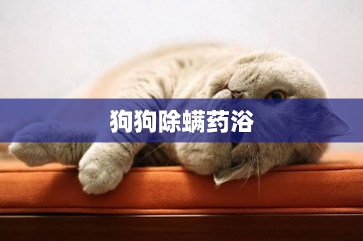 狗狗除螨藥浴