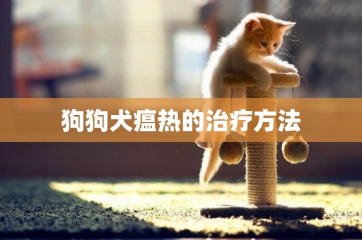 狗狗犬瘟熱的治療方法