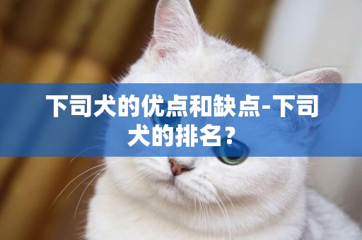 下司犬的優點和缺點-下司犬的排名？