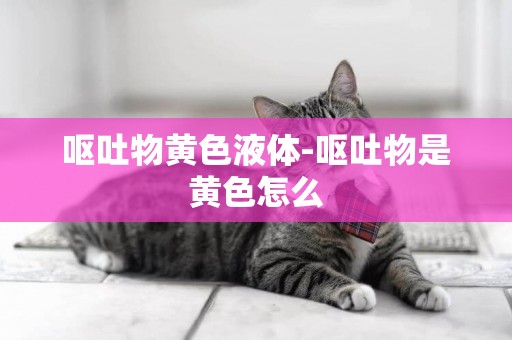 嘔吐物黃色液體-嘔吐物是黃色怎么