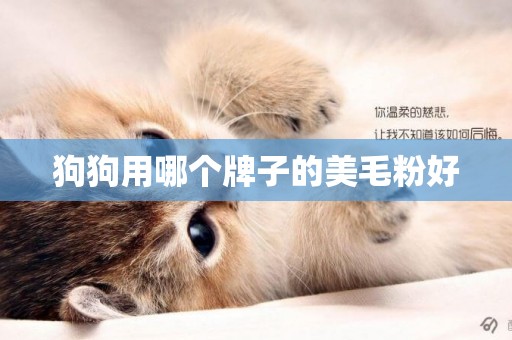 狗狗用哪個牌子的美毛粉好