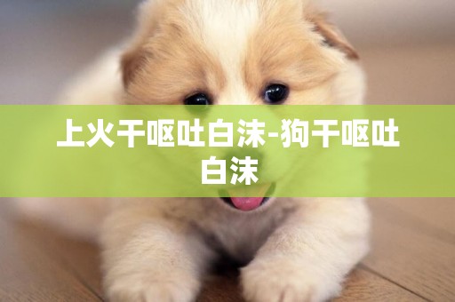 上火干嘔吐白沫-狗干嘔吐白沫