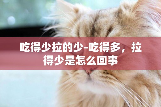 吃得少拉的少-吃得多，拉得少是怎么回事