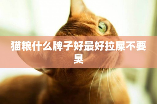 貓糧什么牌子好最好拉屎不要臭