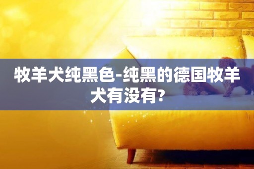 牧羊犬純黑色-純黑的德國牧羊犬有沒有?