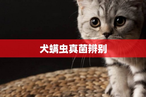 犬螨蟲真菌辨別