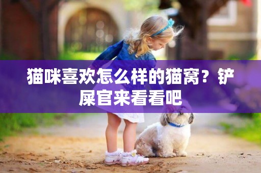 貓咪喜歡怎么樣的貓窩？鏟屎官來看看吧