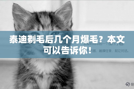 泰迪剃毛后幾個月爆毛？本文可以告訴你！