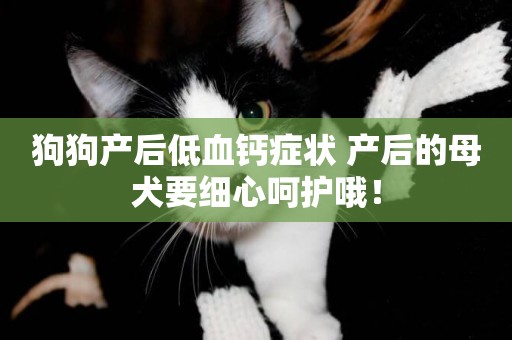 狗狗產后低血鈣癥狀 產后的母犬要細心呵護哦！
