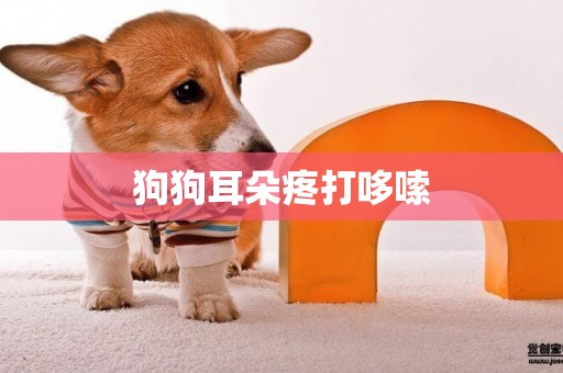 狗狗耳朵疼打哆嗦