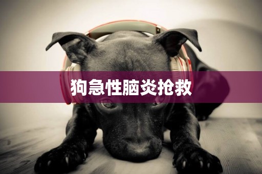 狗急性腦炎搶救