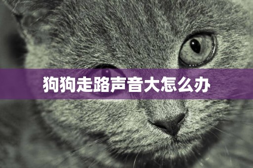 狗狗走路聲音大怎么辦