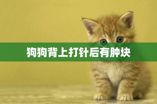 狗狗背上打針后有腫塊