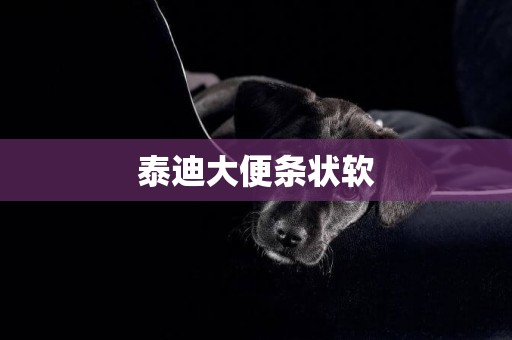 泰迪大便條狀軟
