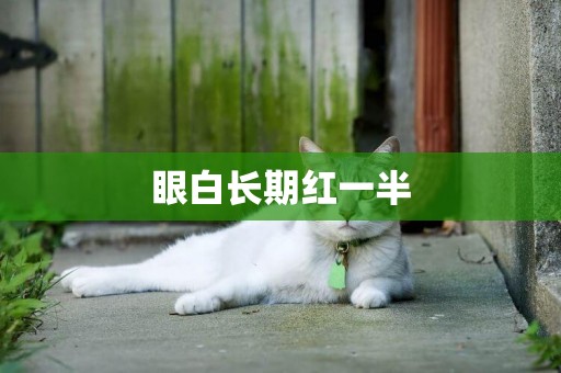 眼白長期紅一半