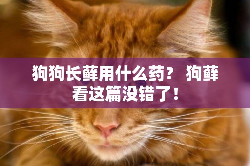 狗狗長蘚用什么藥？ 狗蘚看這篇沒錯了！
