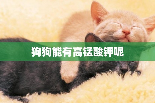 狗狗能有高錳酸鉀呢