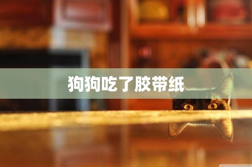 狗狗吃了膠帶紙