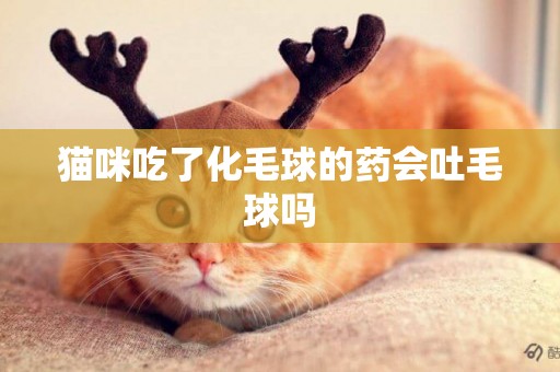 貓咪吃了化毛球的藥會吐毛球嗎