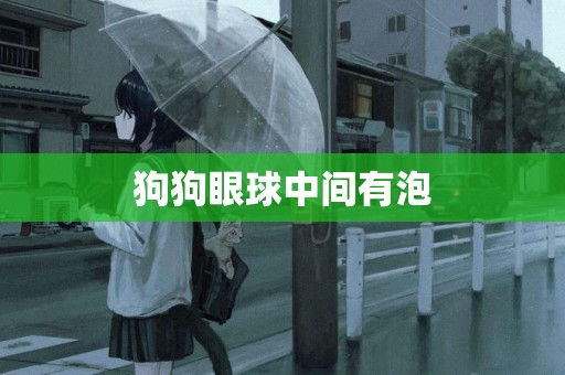 狗狗眼球中間有泡