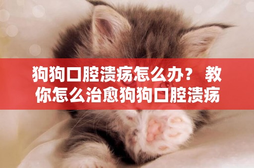 狗狗口腔潰瘍怎么辦？ 教你怎么治愈狗狗口腔潰瘍