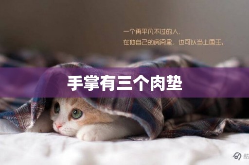 手掌有三個肉墊