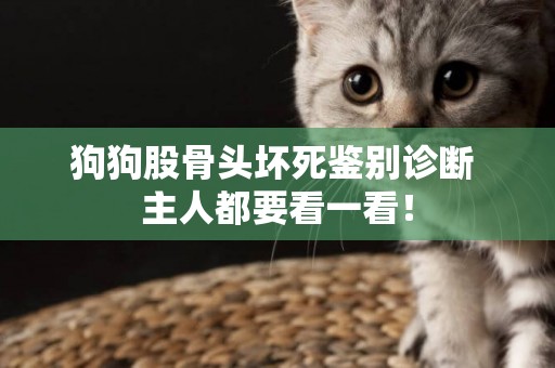 狗狗股骨頭壞死鑒別診斷 主人都要看一看！