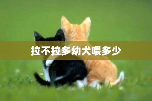 拉不拉多幼犬喂多少