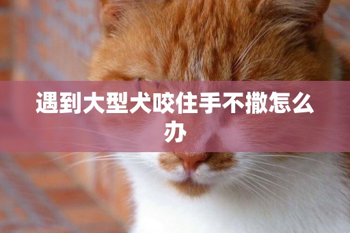 遇到大型犬咬住手不撒怎么辦