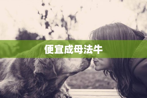 便宜成母法牛
