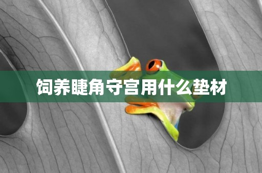 飼養睫角守宮用什么墊材