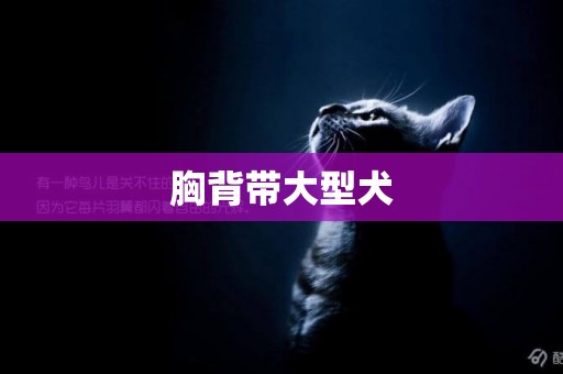 胸背帶大型犬