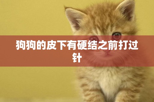 狗狗的皮下有硬結之前打過針