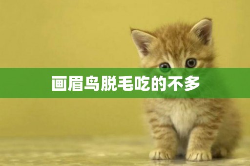 畫眉鳥脫毛吃的不多