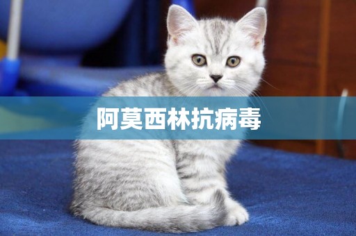 阿莫西林抗病毒