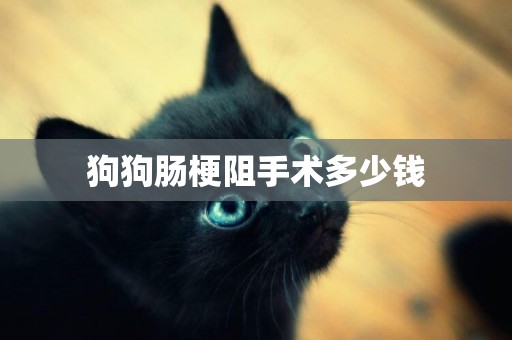 狗狗腸梗阻手術多少錢