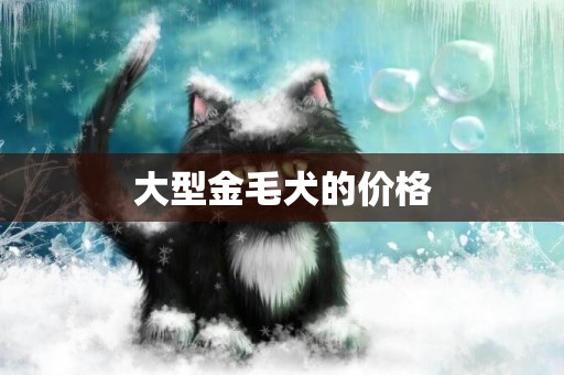 大型金毛犬的價格