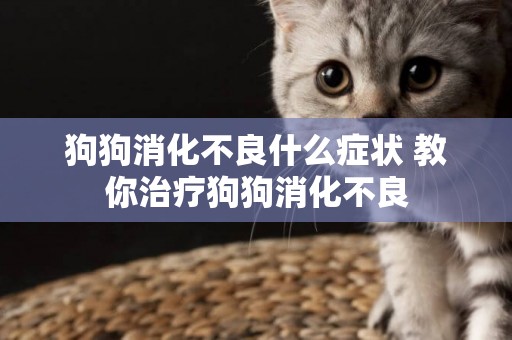 狗狗消化不良什么癥狀 教你治療狗狗消化不良