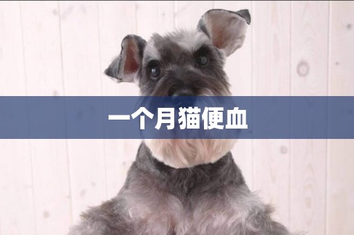 一個月貓便血
