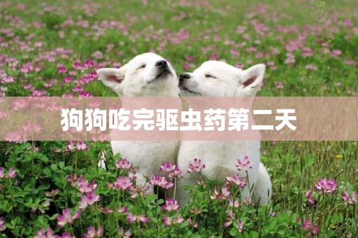 狗狗吃完驅蟲藥第二天