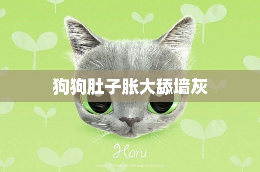 狗狗肚子脹大舔墻灰