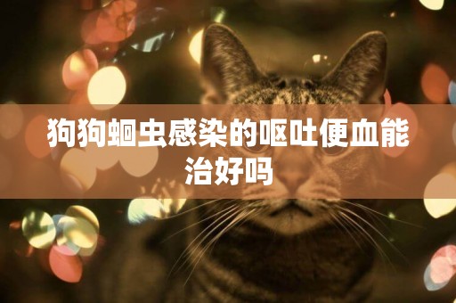狗狗蛔蟲感染的嘔吐便血能治好嗎