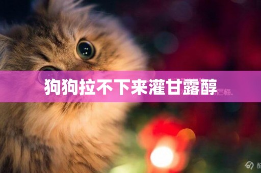 狗狗拉不下來灌甘露醇