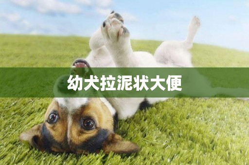 幼犬拉泥狀大便