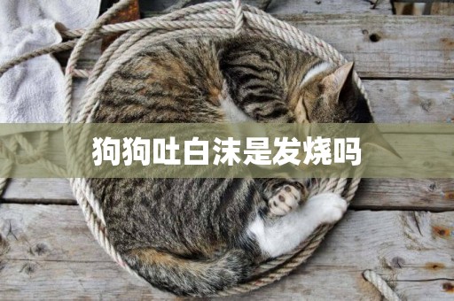 狗狗吐白沫是發燒嗎