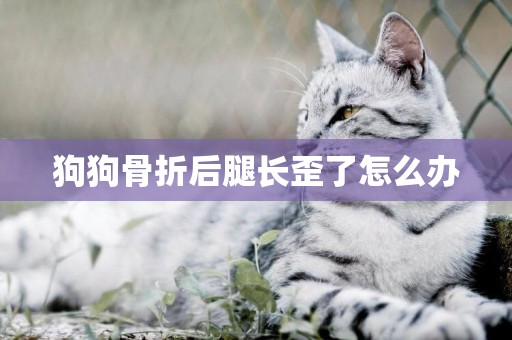 狗狗骨折后腿長歪了怎么辦