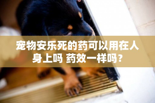 寵物安樂死的藥可以用在人身上嗎 藥效一樣嗎？