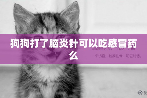 狗狗打了腦炎針可以吃感冒藥么