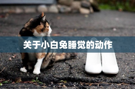 關于小白兔睡覺的動作